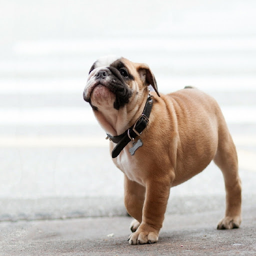 Hd-174823-ascw174823