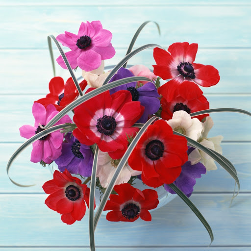 Hd-144282-ascw144282