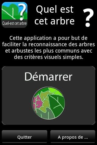 quel arbre est ce