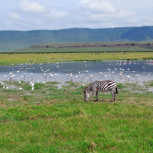 Hd-163743-ascw163743