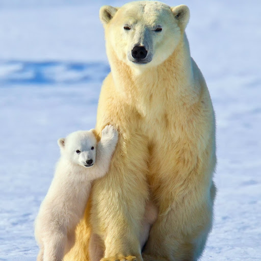 Hd-180378-ascw180378