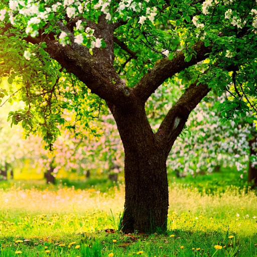 Hd-182651-ascw182651