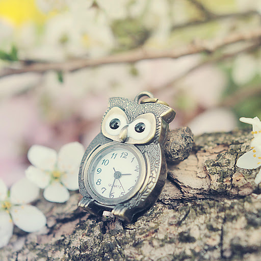 Hd-185051-ascw185051