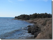 IMG_5642 IMG_5642