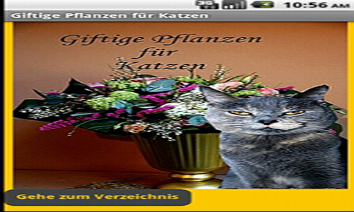 Katzen: Giftige Pflanzen