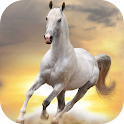 HD Horses Live Wallpaper PRO logo