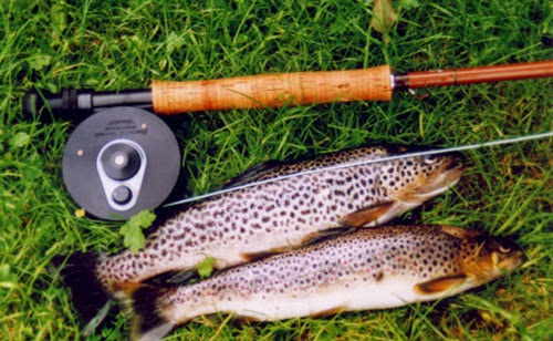 Fishing-Brown-Trout