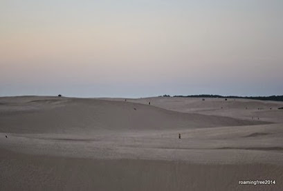 OHV Area of the dunes