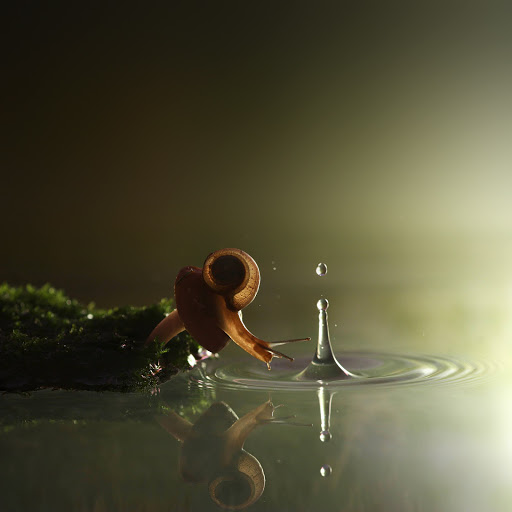 Hd-160709-ascw160709