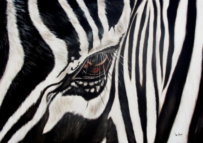 zebra-eye-ilse-kleyn