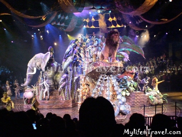 Lion King Disneyland HK 33 Lion King Disneyland HK 33