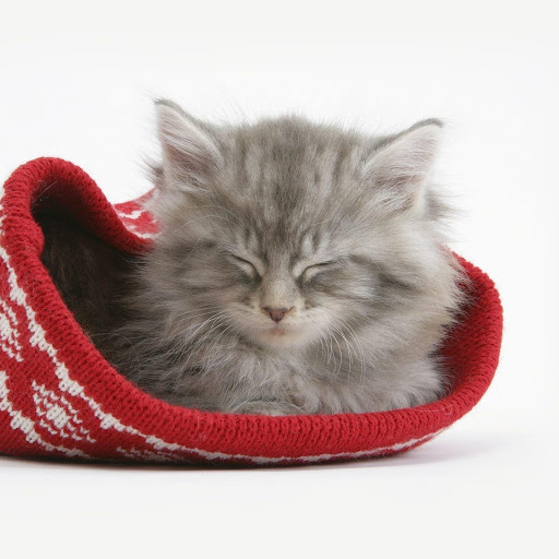 Hd-136258-ascw136258