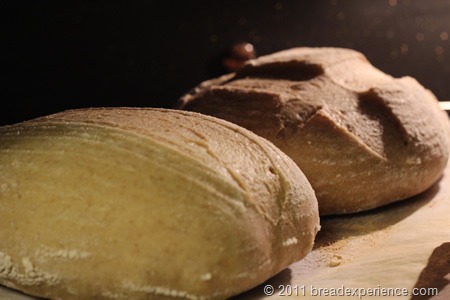 peasant-bread_0724