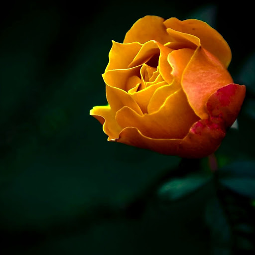 Hd-138292-ascw138292