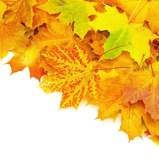 Hd-141706-ascw141706