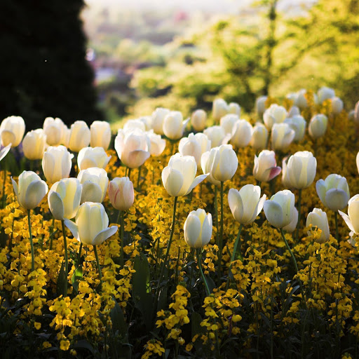 Hd-143784-ascw143784