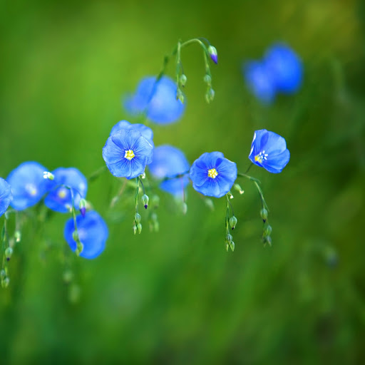 Hd-146172-ascw146172