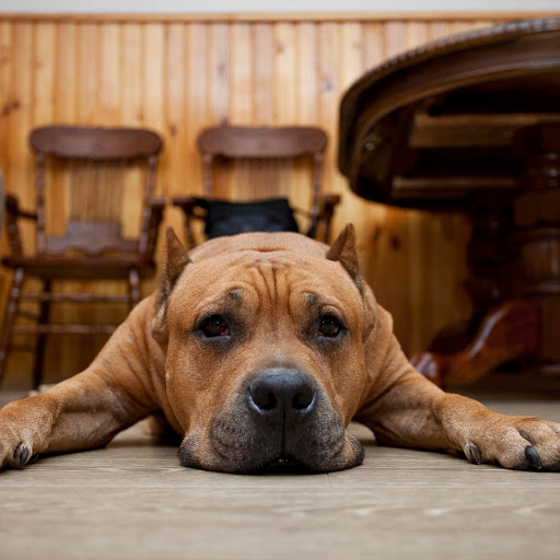 Hd-134667-ascw134667