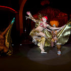 IMG_6139.jpg