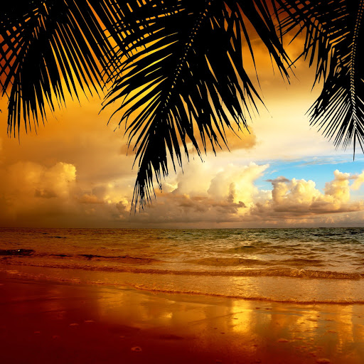 Hd-131121-ascw131121