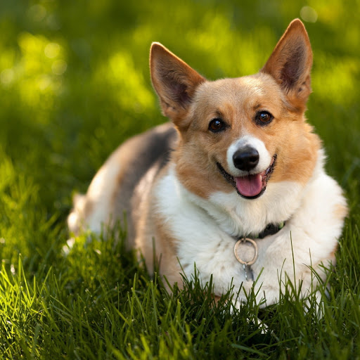 Hd-180716-ascw180716