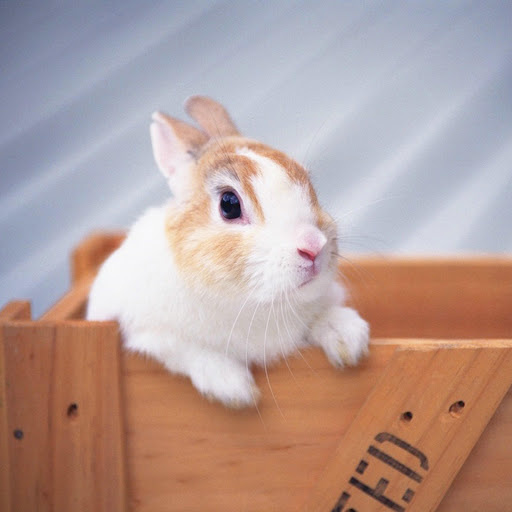 Hd-176124-ascw176124