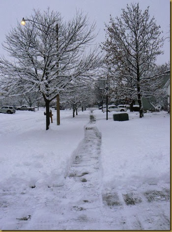 Snowy street in Dec 13