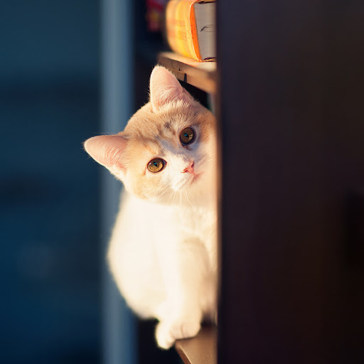 Hd-173789-ascw173789