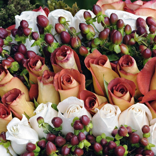 Hd-146360-ascw146360