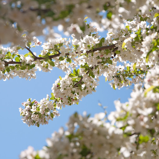 Hd-170948-ascw170948