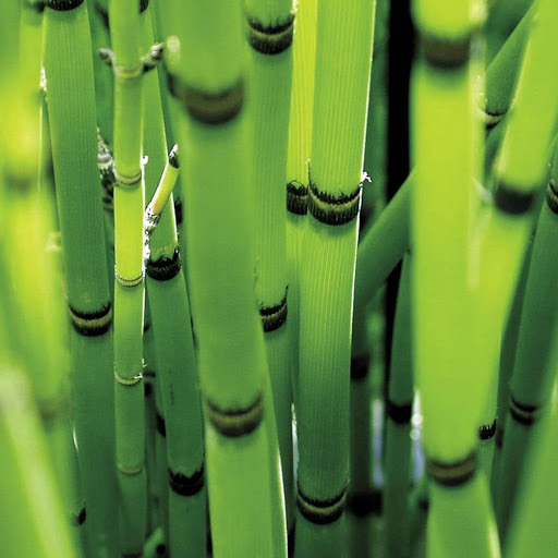 Hd-141456-ascw141456