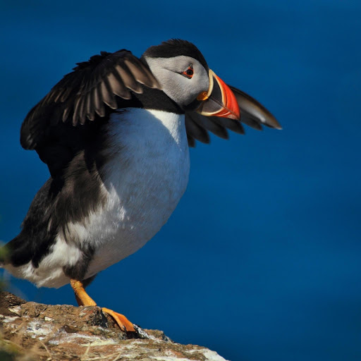 Hd-177815-ascw177815