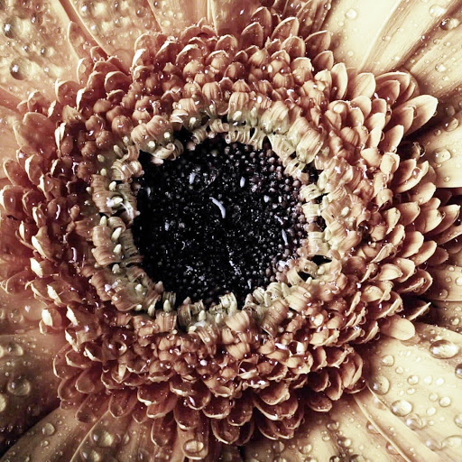 Hd-176298-ascw176298