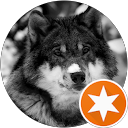 Image Google de UGORANE LOUP