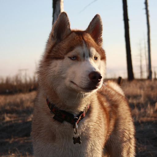 Hd-159451-ascw159451