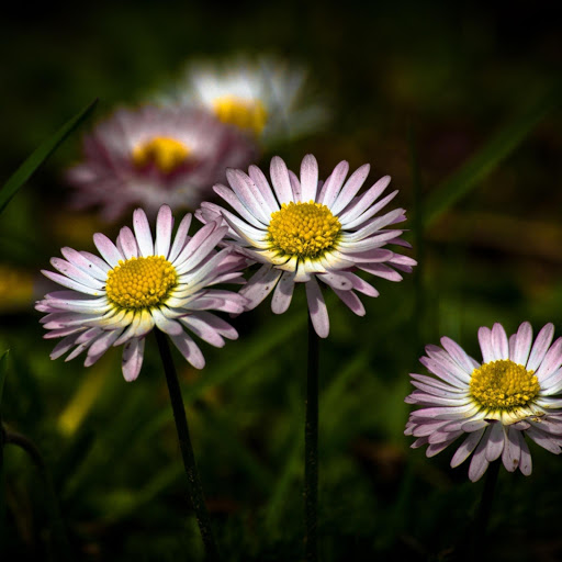 Hd-182340-ascw182340