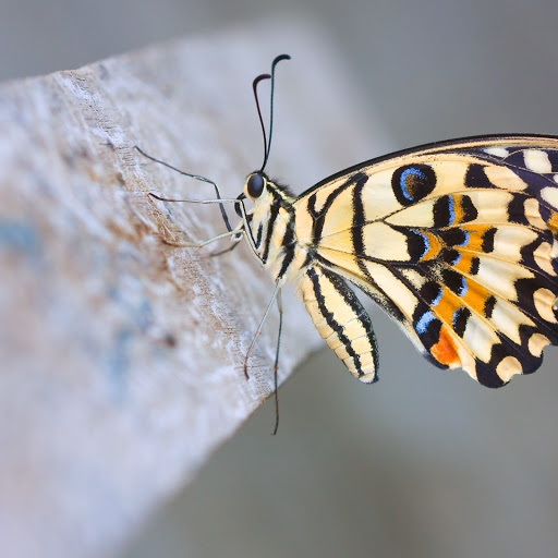 Hd-131678-ascw131678