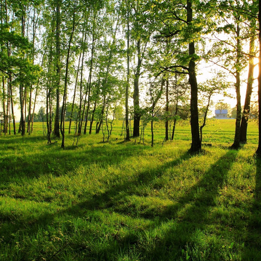 Hd-142947-ascw142947