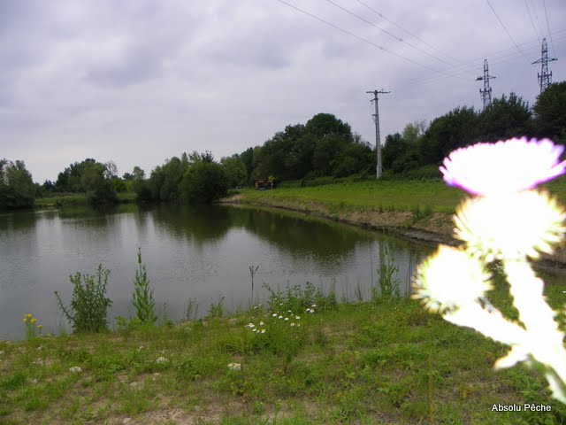 Etang le Tilleul photo #353