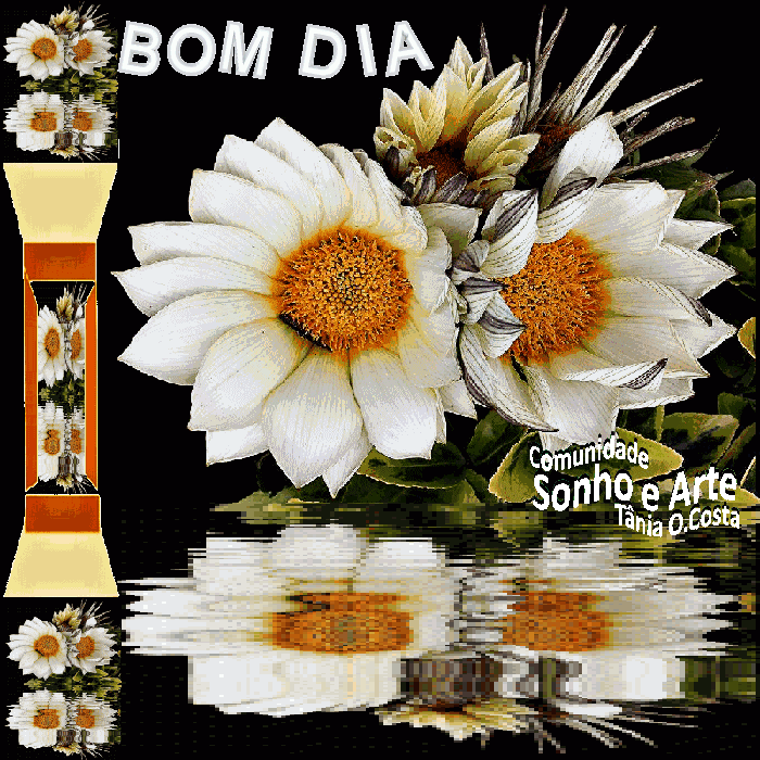 tania%20o%20costa%20sonho%20e%20arte%20c
