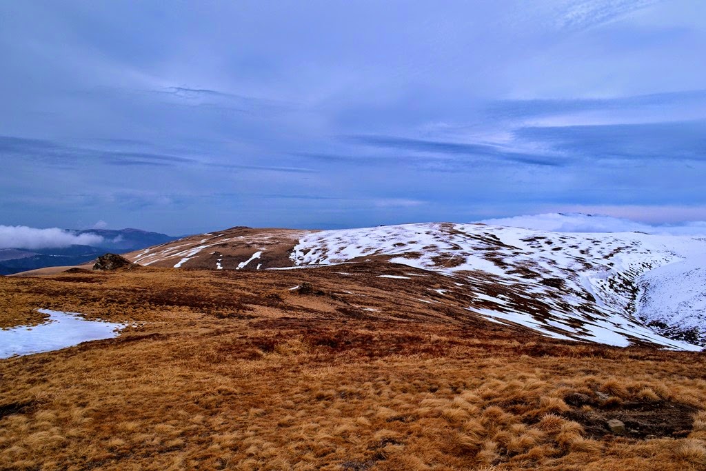 [DSC_43873.jpg]