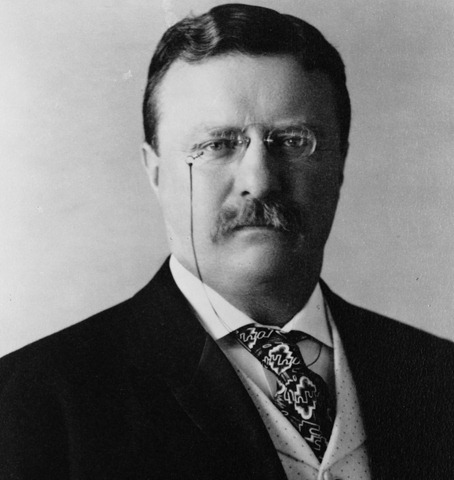 President_Theodore_Roosevelt,_1904