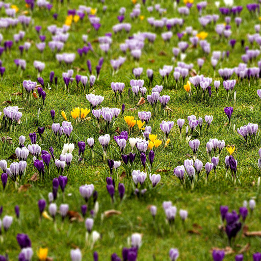 Hd-156679-ascw156679