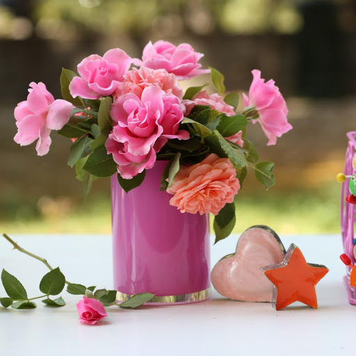 Hd-172032-ascw172032