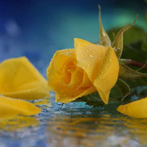 Hd-148961-ascw148961