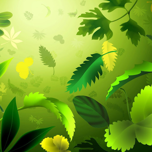 Hd-168001-ascw168001