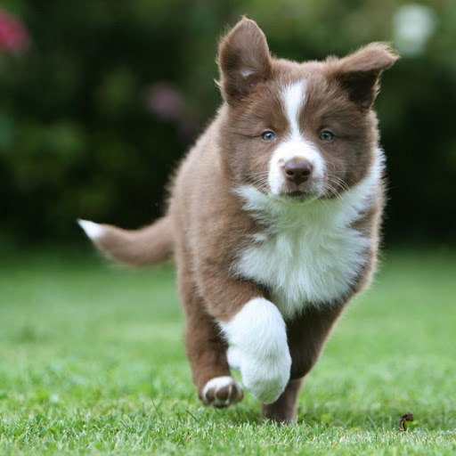 Hd-149361-ascw149361