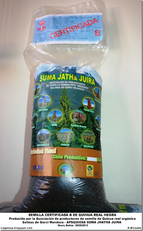 Semilla certificada B de Quinua Real Negra producido por la APSQUIOSA Suma Jatha Juira-Rubén Miranda-Laquinua.blogspot.com