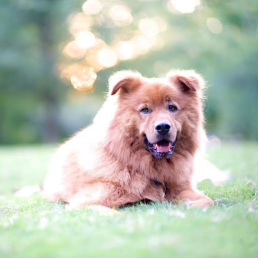 Hd-141707-ascw141707