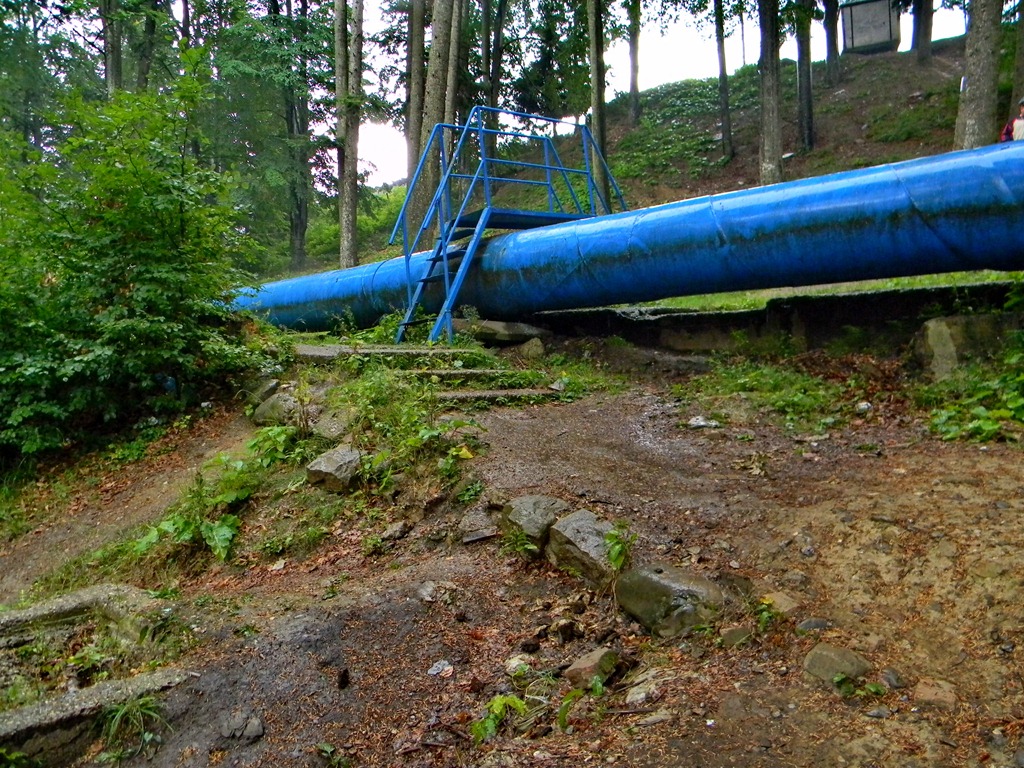 [DSCN43343.jpg]